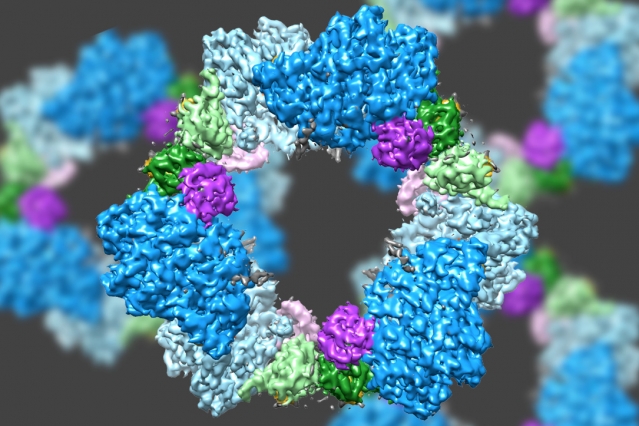 Course Image Enzyme Biochemistry -|| Fall23