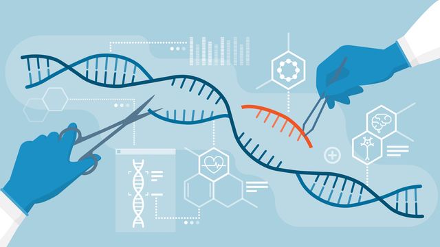 Course Image Genetic  Engineering || Spring2024