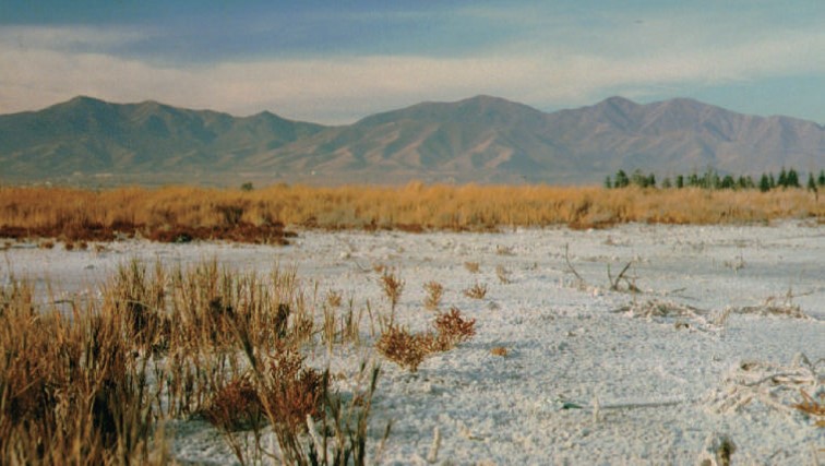 Course Image MANAGEMENT OF SALT-AFFECTED SOILS Fall24 