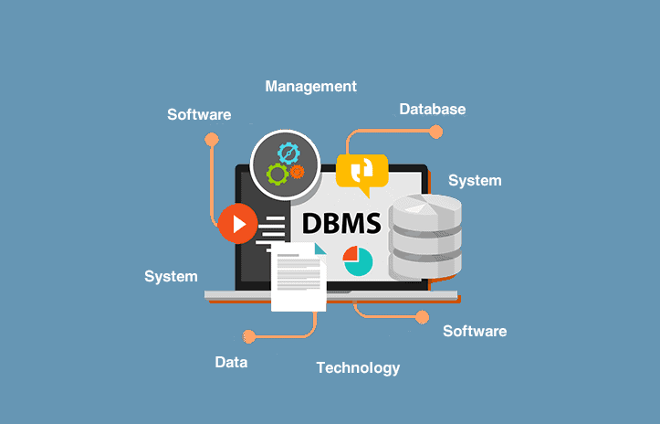 Course Image Database Management I Fall24