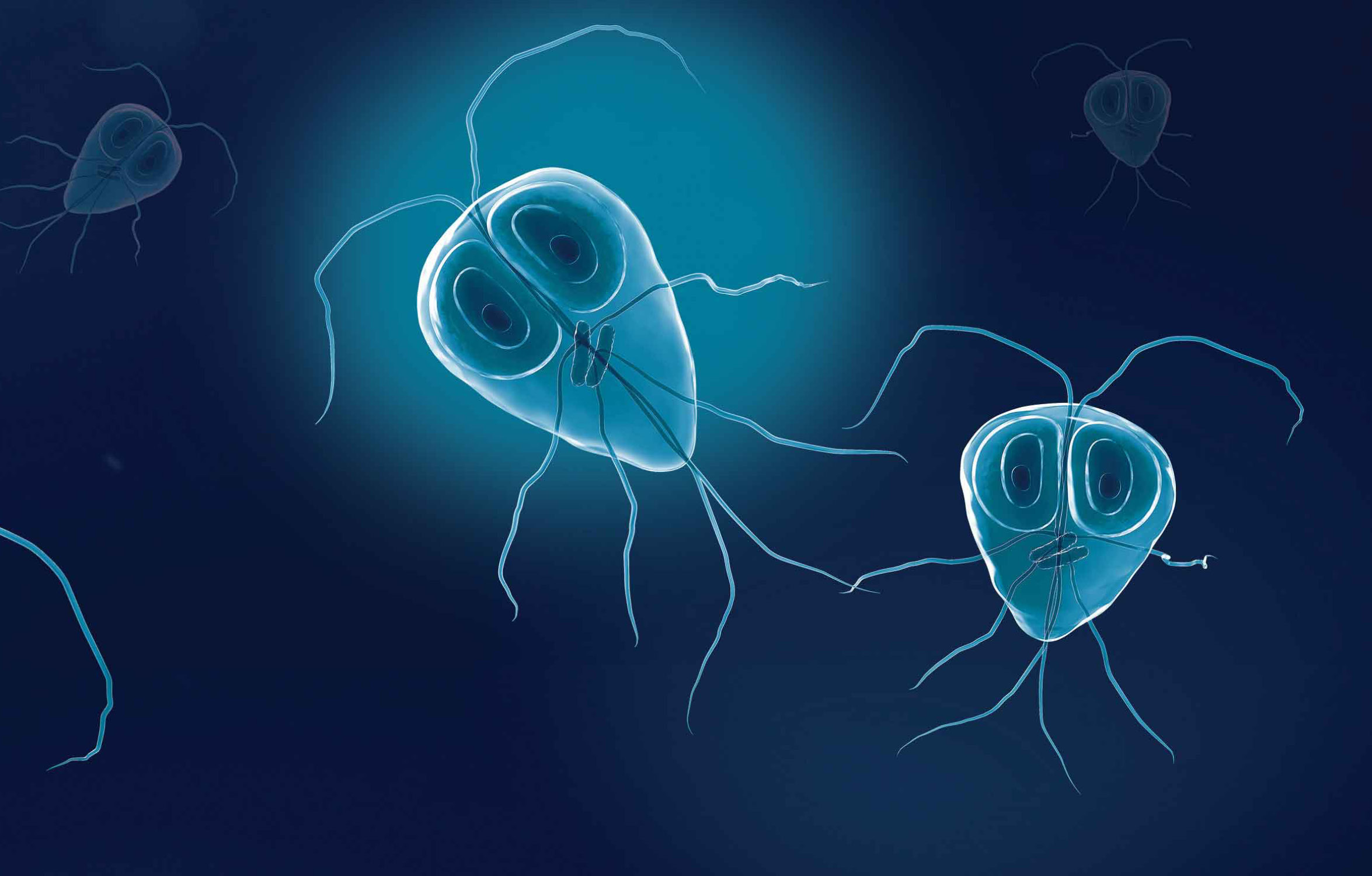 Course Image Veterinary Parasitology Spring24 spring25
