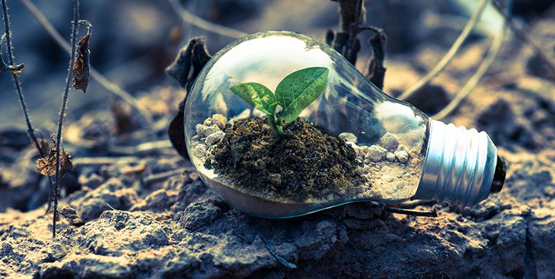 Course Image Introduction to Soil & Water - spring25