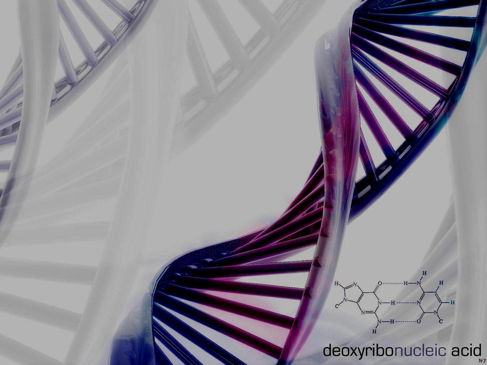 Course Image Plant Genetics || Spring25