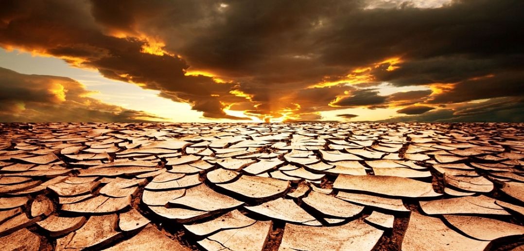 Course Image Desertification & Land Restoration spring25