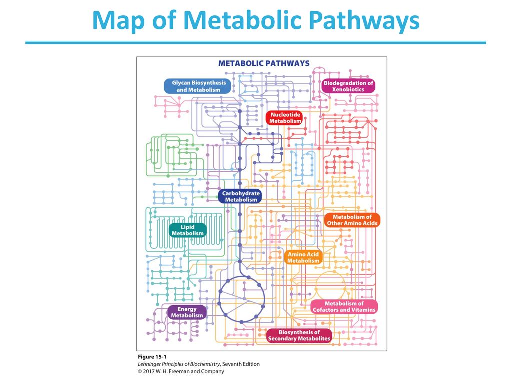 Course Image Biochemistry || Spring25