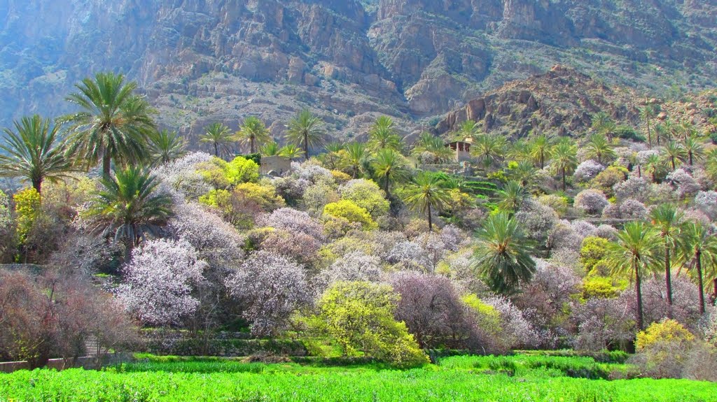 Course Image Fruit Tree Physiology || Spring24 spring25