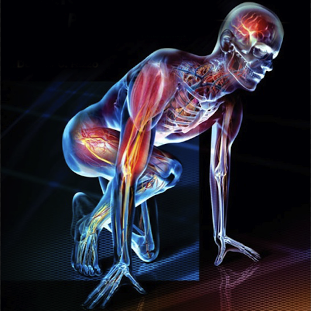 Course Image Anatomy & Physiology I ||Spring25