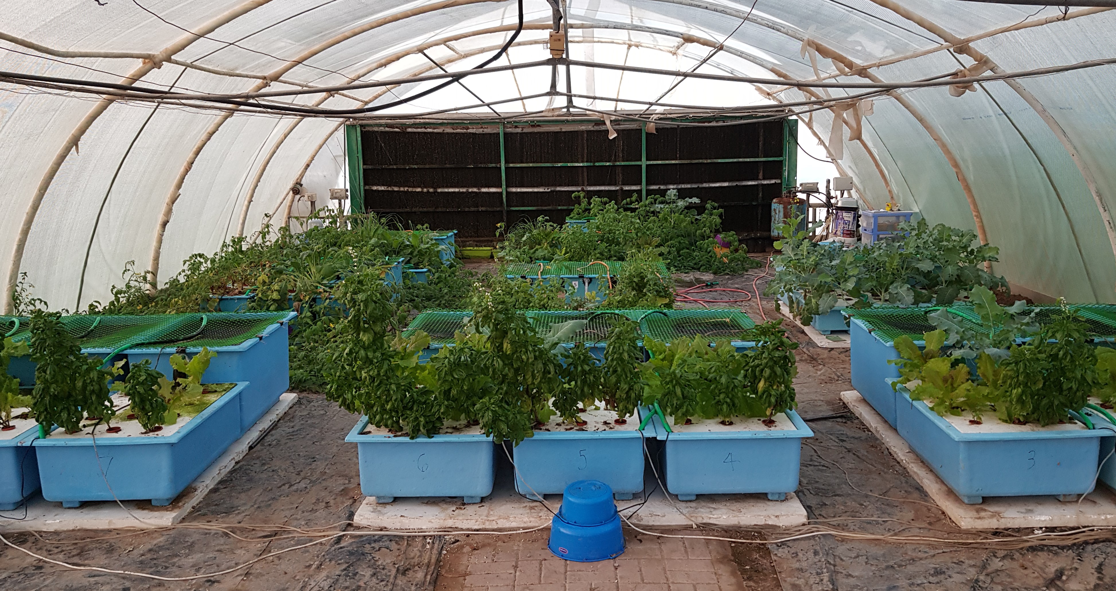 Course Image Environmental Issues in Aquaculture || Spring25