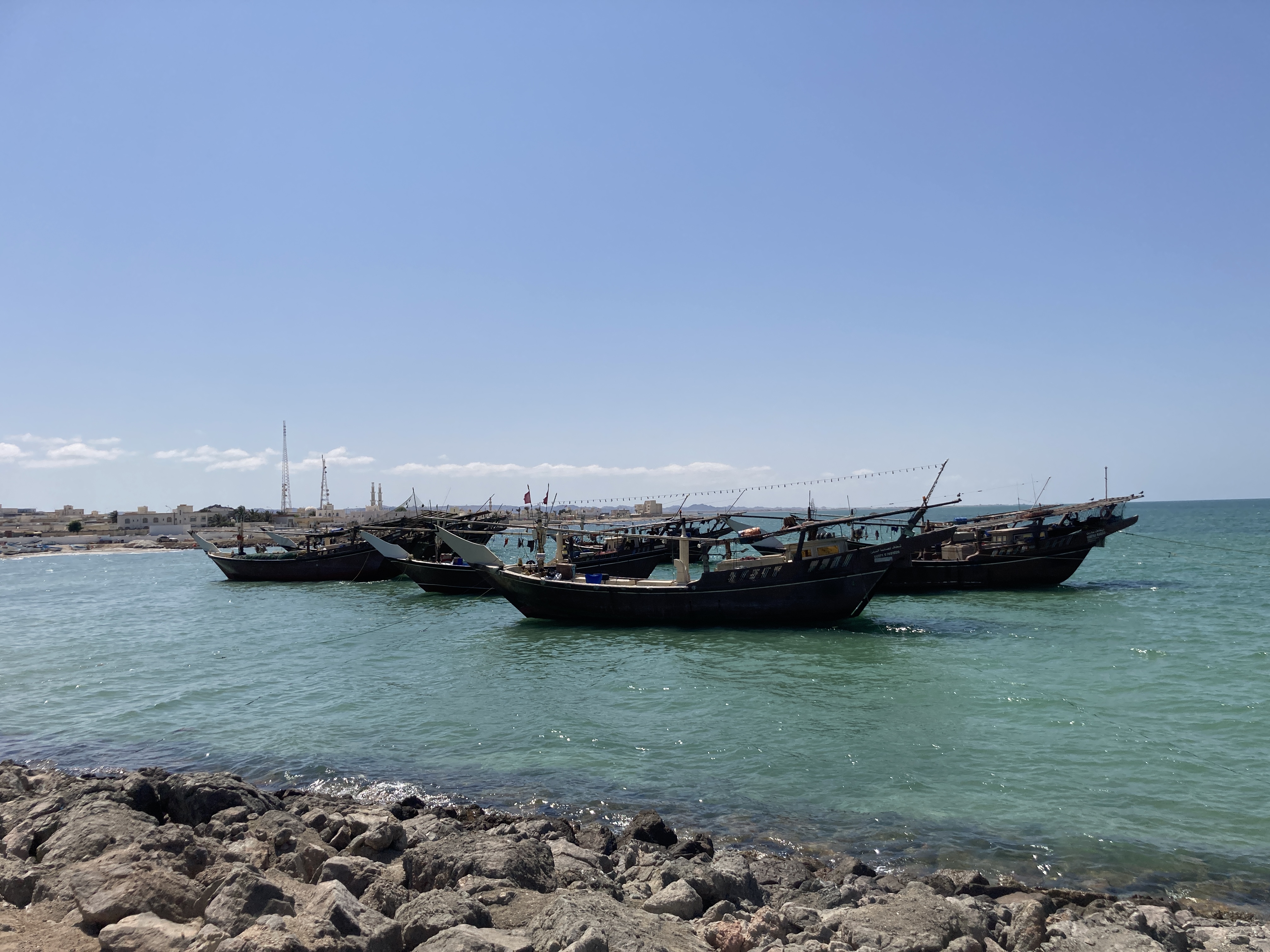 Course Image Advance Fisheries Management || Spring25