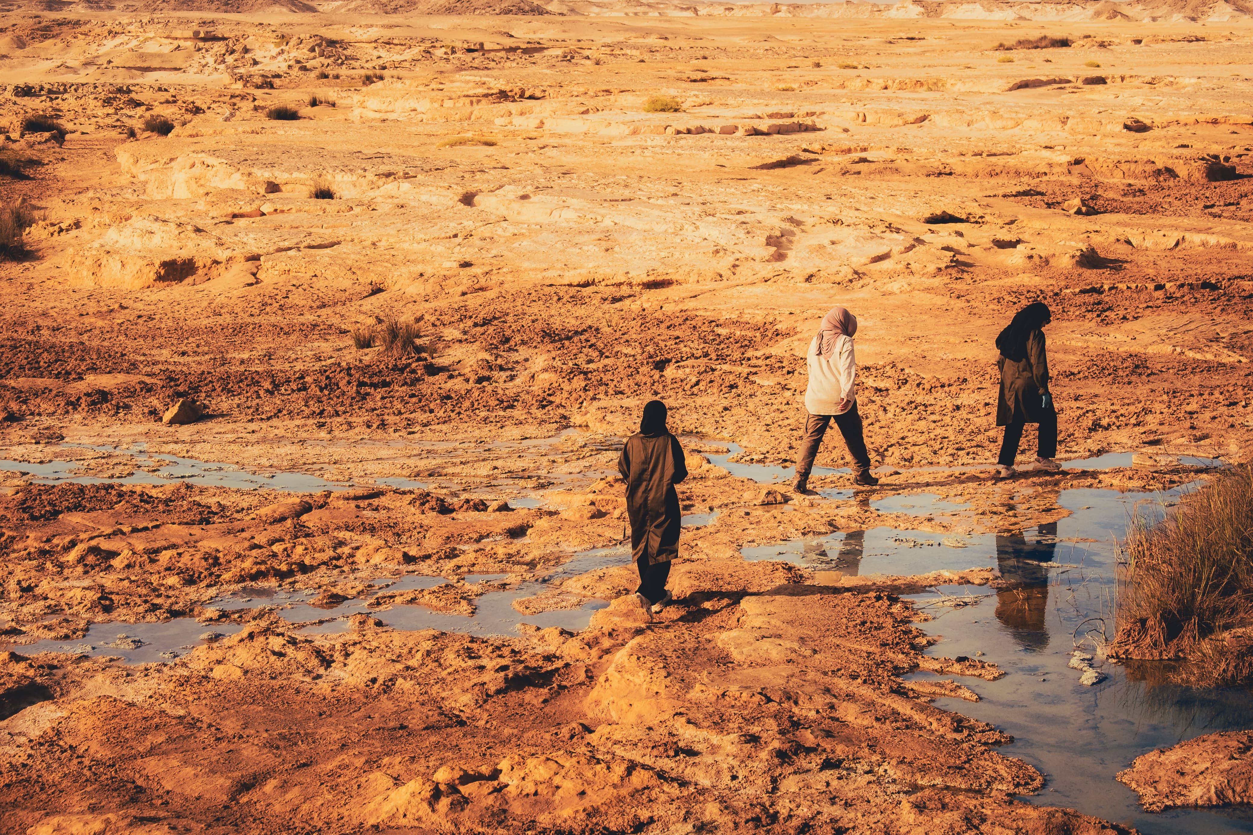 Course Image BIOLOGICAL CONSERVATION