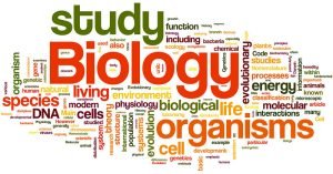 Course Image General Biology I- Summer25