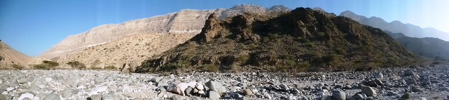 Course Image Desert Biology || Fall21 fall22 fall23 fall24 fall25