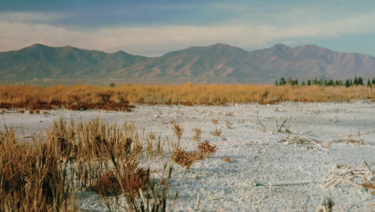 Course Image MANAGEMENT OF SALT-AFFECTED SOILS Fall24 fall25