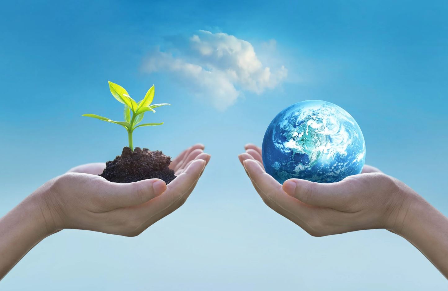 Course Image Introduction to Environmental Science - Fall25
