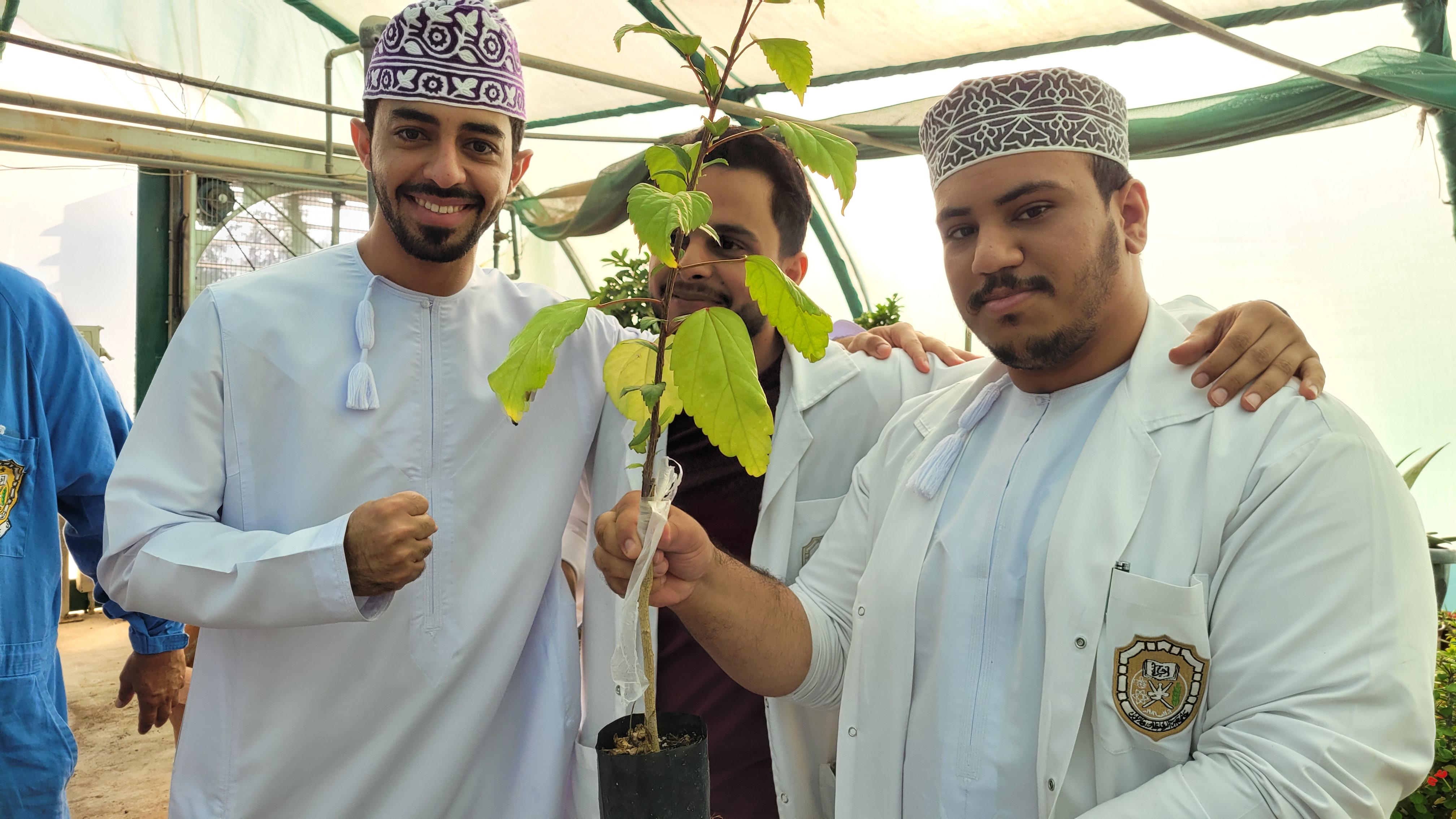 Course Image Plant Propagation - Fall25
