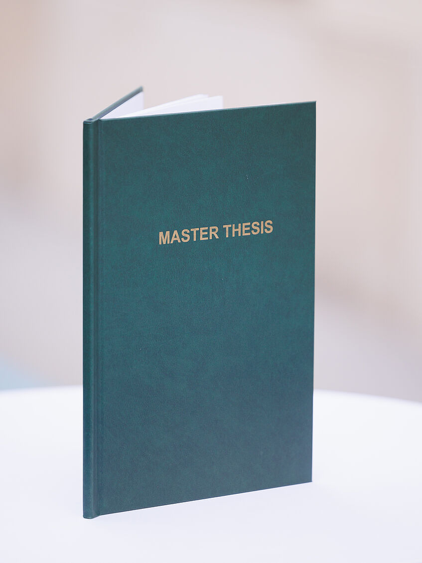 Course Image IRSS7002 Thesis II Spring26