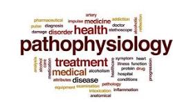 Course Image Pathophysiology - Spring 2026